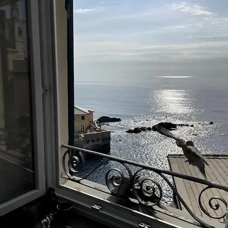 Moonlight In Boccadasse Cenova